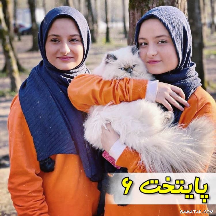 سریال پایتخت